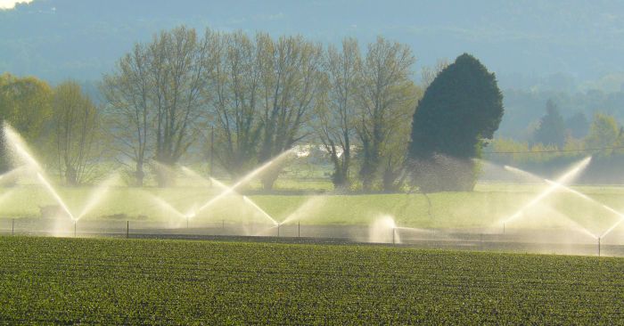REMISE EN EAU 2023