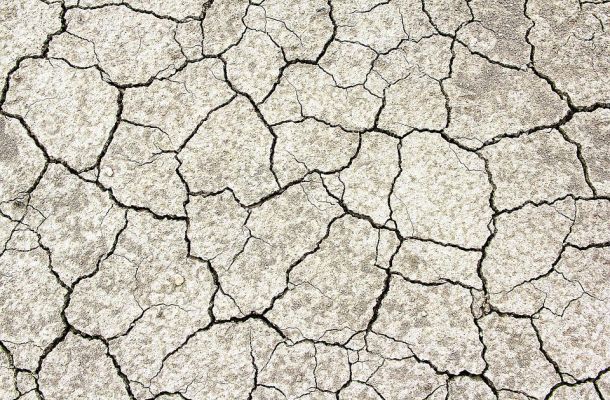 Conséquences de l'épisode sécheresse