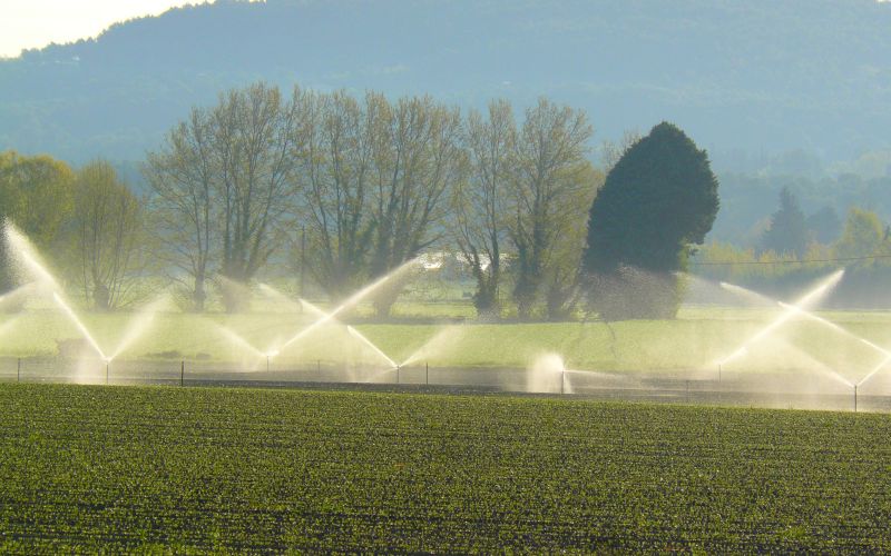 Consultez les analyses d'eau 2022