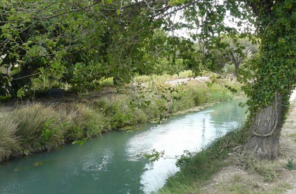 Résultats des analyses d'eschérichia coli