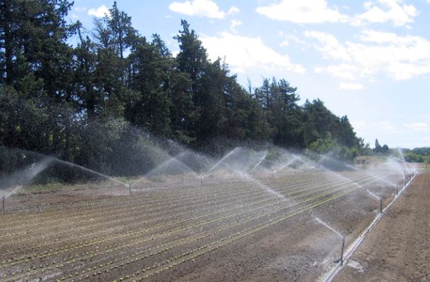 Des restrictions d'eau qui se renforcent