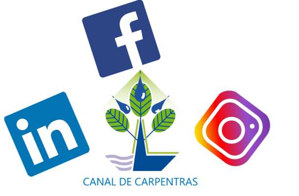 Le canal présent sur les réseaux sociaux